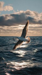 Freedom is found in the wings of the present
