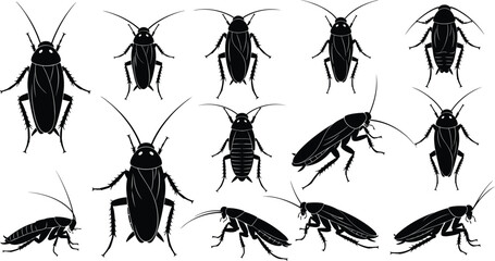 Cockroach silhouette collection, insect vector, pest control, entomology reference, black bug icons, antenna, legs, body segments, top view, side view