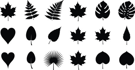 Leaf silhouette set, black and white illustration, botanical clipart, diverse leaf shapes, nature design, foliage vector, plant outline, grid collection