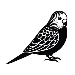 budgie, parakeet, bird, pet, budgerigar, parrot, small-bird, feathers, wings