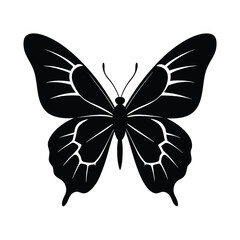 butterfly, butterfly-wing, butterfly-shape, butterfly-outline, butterfly-shadow,