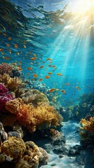 A symphony of light and coral life.