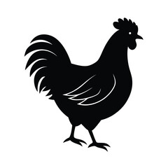 chicken, chicken silhouette, chicken outline, chicken bird, chicken farm, chicken hen