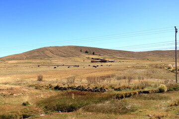 Obraz premium rural landscape with agriculture in the north of Bolivia