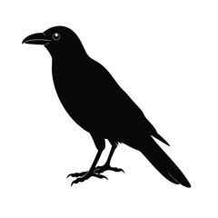 crow silhouette, black bird icon, flying crow figure, perched crow outline, spooky bird shape,