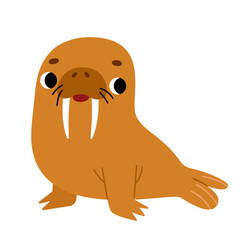Cute cartoon walrus with tusks. Color vector character on white background for kids designs about sea and ocean and for educational materials.