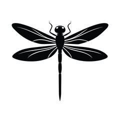 dragonfly, insect, wings, fly, pond, hover, nature, wild, summer, water, delicate,