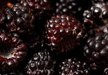 Fresh blackberries as background. Macro