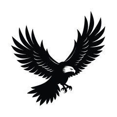 Fototapeta premium eagle, bird, wings, raptor, predator, talons, beak, feather, flight, soar, sky, hunting, wild,