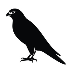 falcon, bird, silhouette, raptor, predator, wing, flight, feather, wildlife, avian, nature, hunter,