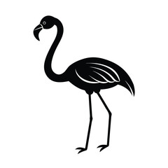 flamingo, standing, bird, tropical, exotic, wildlife, pink, nature, tall, elegant,