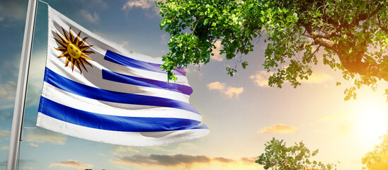 Uruguay national flag waving in the sky behind the tree. The flag blow in beautiful sunlight. Uruguay national flag for independence day.