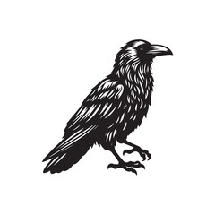 Raven Vector (4).eps