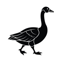 goose, walking, bird, steps, waddling, animal, field, feet, path, neck, longneck, wings, nature, feathers,