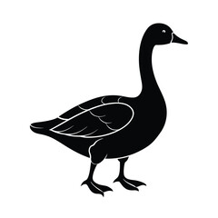 goose, walking, bird, steps, waddling, animal, field, feet, path, neck, longneck, wings, nature, feathers,