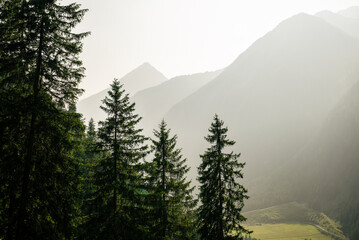 Golden sunrise over misty mountain ridge and alpine forest in Austria
