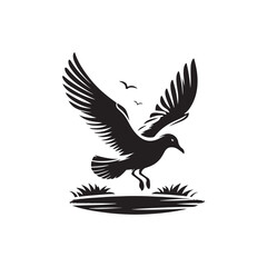 Seagull Vector (3).eps