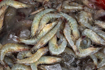 fresh shrimps on the market