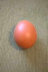 One brown chicken egg placed on green textile fabric, shown in a close-up with room for text. Natural, minimal style.