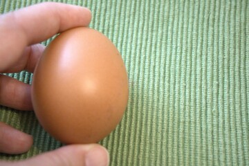 One brown chicken egg placed on green textile fabric with hand, shown in a close-up with room for text. Natural, minimal style.