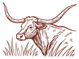 Vintage Line Art Illustration of a Longhorn Cattle Head in a Field . A detailed, vintage-style line drawing of a longhorn cattle head emerging from tall grass.