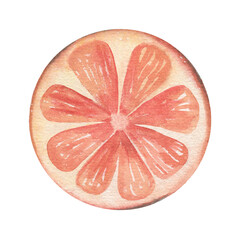 Orange slice, ingredient of mulled wine. Hand-painted watercolor illustration of Christmas decor isolated on white background for winter recipes, holiday cards, branding, cozy kitchen designs