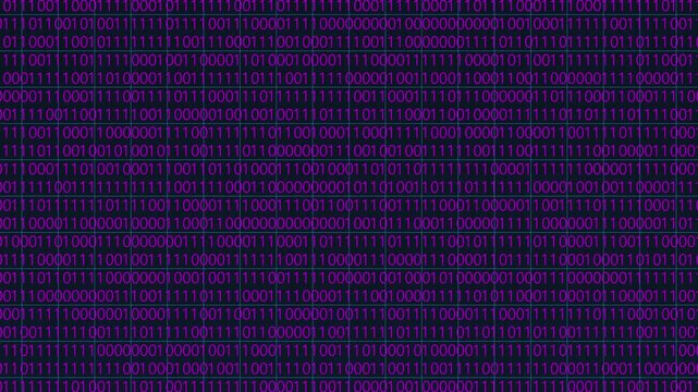 Magenta Binary Code Numbers Creating a Repeating Pattern on a Dark Background Representing Digital Data . 4k video