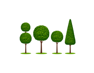 Green leafy tree, symbol of nature, isolated on white background