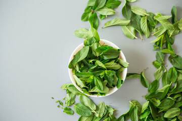 Fresh aromatic mint on minimalistic background from above
