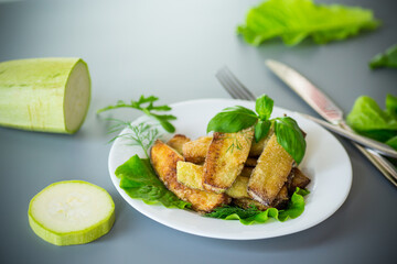 Homemade fried zucchini on a white plate on a gray background