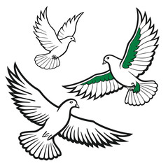 Obraz premium Three doves in flight isolated on white background, symbolizing peace and hope