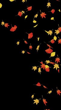 水彩風 秋の紅葉が左上から舞う[4K-背景透過]縦 Autumn Leaves Dance Series:Watercolor Autumn Leaves Falling from Top Left[with Alpha Channel / Transparent Background]4K