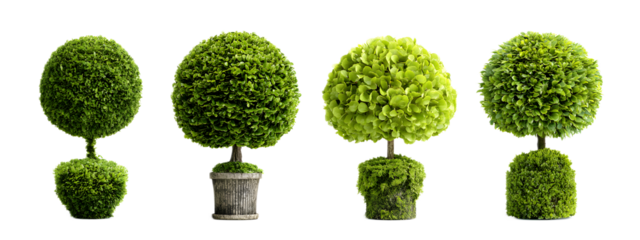 A stylish collection of neatly trimmed spherical topiary plants in shades of green arranged in a stacked display with geometric symmetry