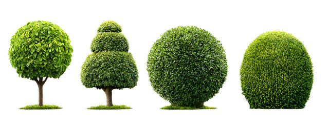 A collection of symmetrically shaped manicured topiary bushes in different geometric forms including spheres cones and cubes arranged in a formal ornamental garden setting