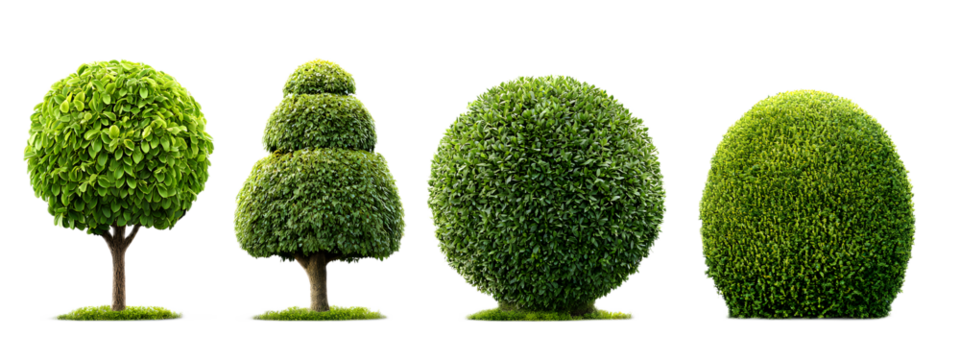 A collection of symmetrically shaped manicured topiary bushes in different geometric forms including spheres cones and cubes arranged in a formal ornamental garden setting