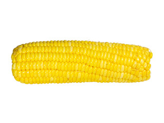 Corn isolated on a white background.