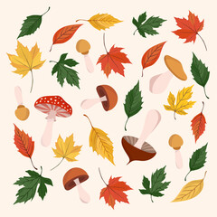 Autumn colorful leaves and mushrooms background Fall frame with elements