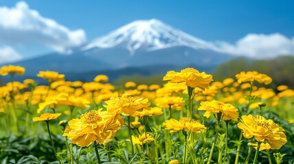 Obraz premium Yellow Flowers Blooming with Mount Fuji Snow-capped in Background