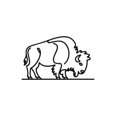 Obraz premium Bison grazing in a simple line art illustration buffalo animal