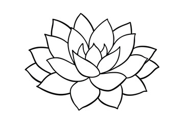 Fototapeta premium Clean outline of a succulent plant rendered in a minimalist style on a pure white background