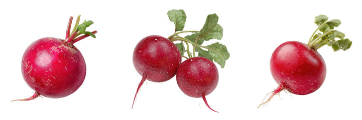 Set of Red Radishes With Natural Leaves isolated on a transparent background