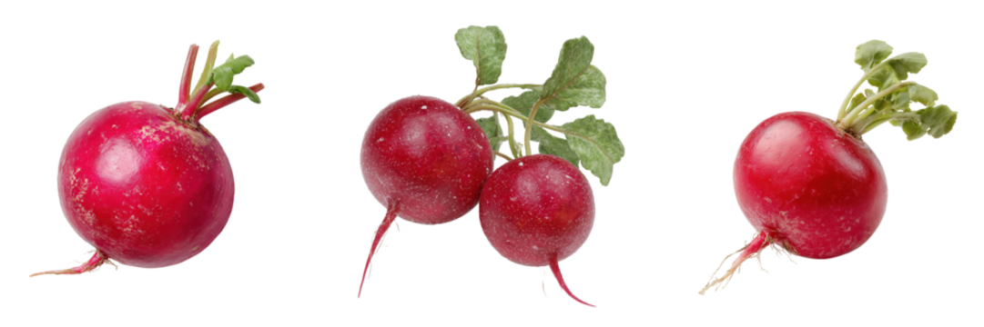 Set of Red Radishes With Natural Leaves isolated on a transparent background - Powered by Adobe