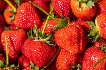 Close-Up of Fresh Ripe Strawberries at Local Farmers Market