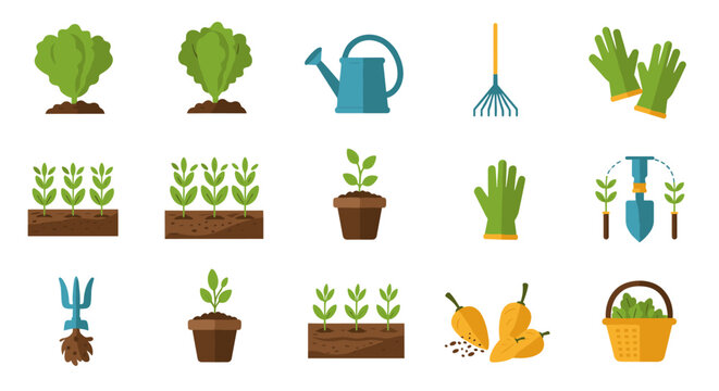 Gardening tools and plants set in flat design for horticulture enthusiasts