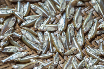 Freshly caught small fish lie glistening on a wooden board, ready for preparation or sale in a local fish market.
