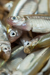 Hands cleaning tiny fish with a sharp knife, showcasing traditional fish preparation methods in rural communities.