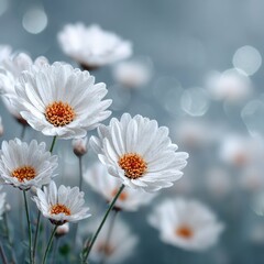Delicate white flowers in soft focus