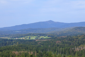 Obraz premium Mountain and tree panorama view with summit Großer Rachel seen from observation tower Baumei at Treetop Walk in Bavarian Forest National Park, Germany