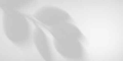 Shadows of plant branches on the wall with sunlight. Monochrome gray background.