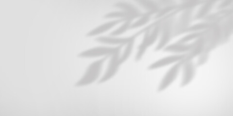 Shadows of plant branches on the wall with sunlight. Monochrome gray background.